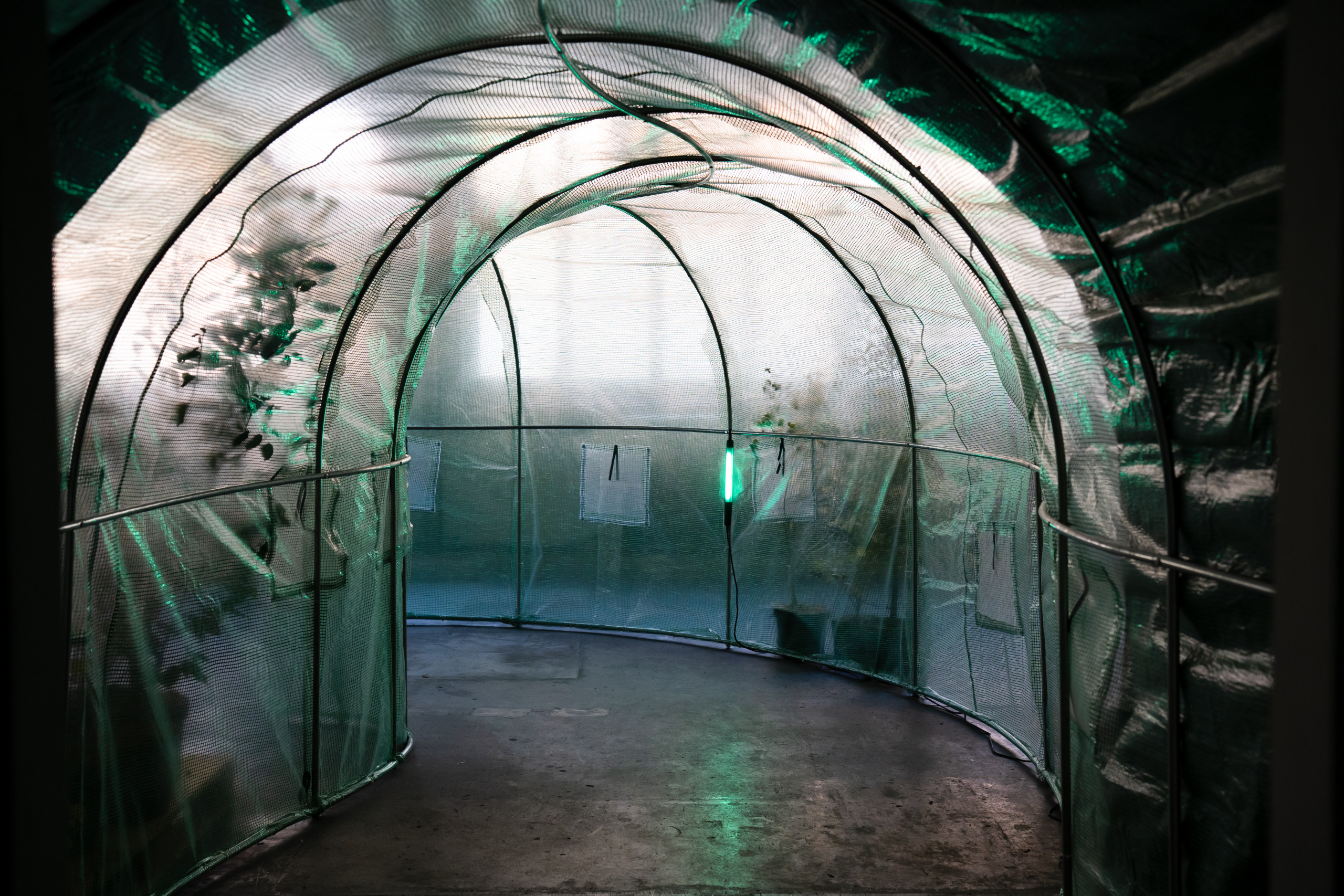 LIVE-TEC | After the deluge